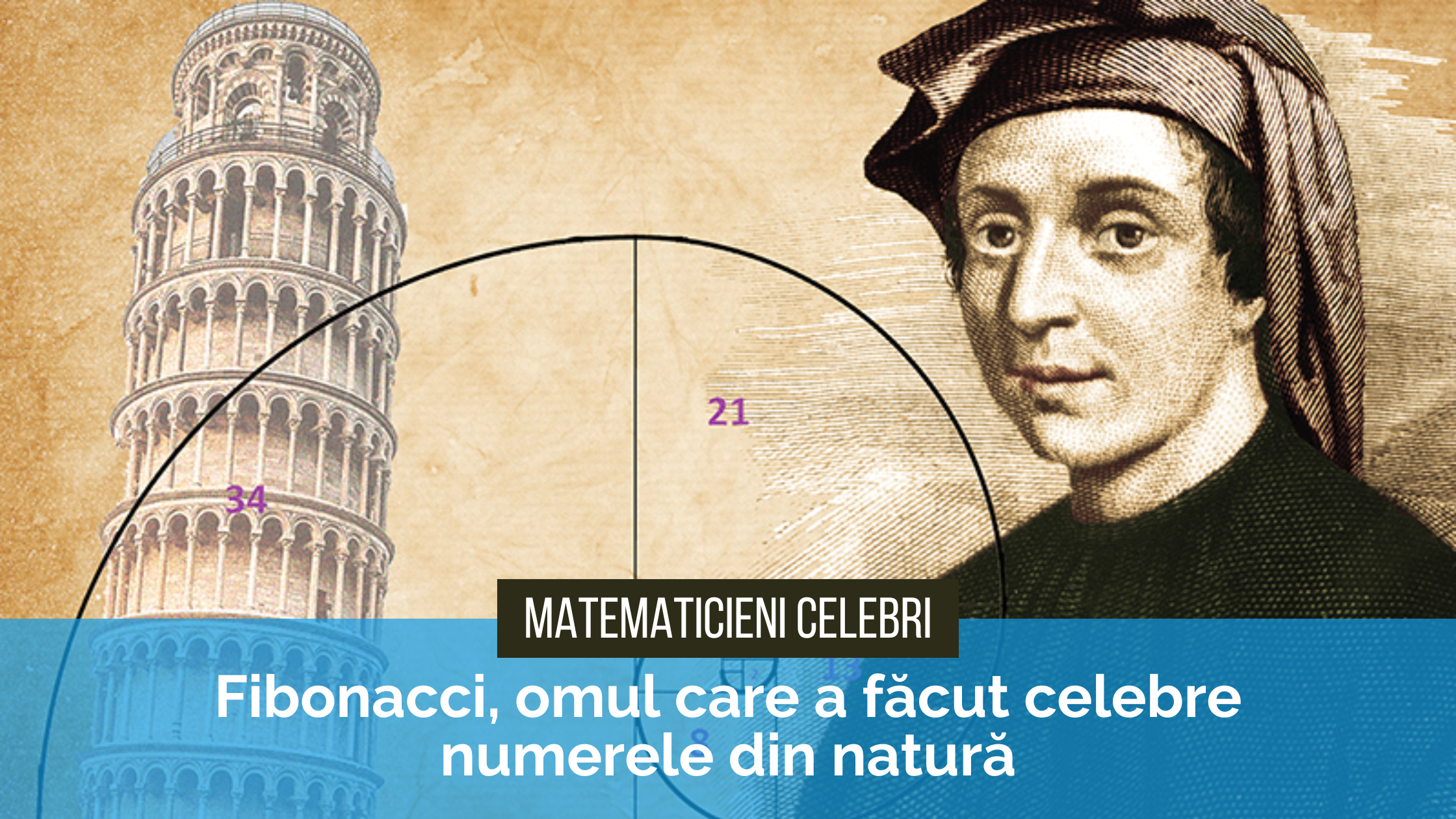 Matematicieni celebri – Fibonacci Matematicieni celebri. Fibonacci, omul care a făcut celebre numerele din natură