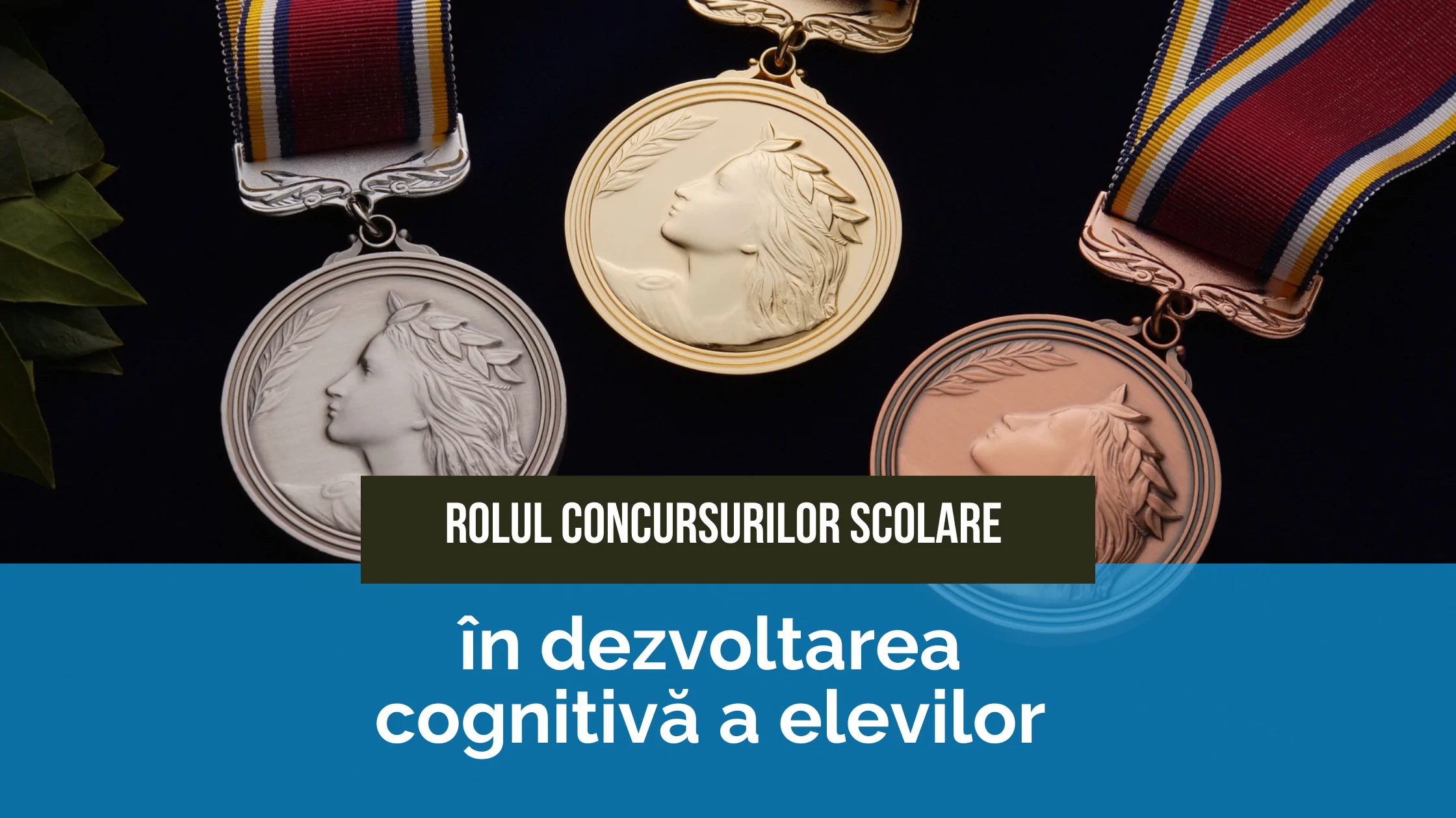 concursuri concursuri